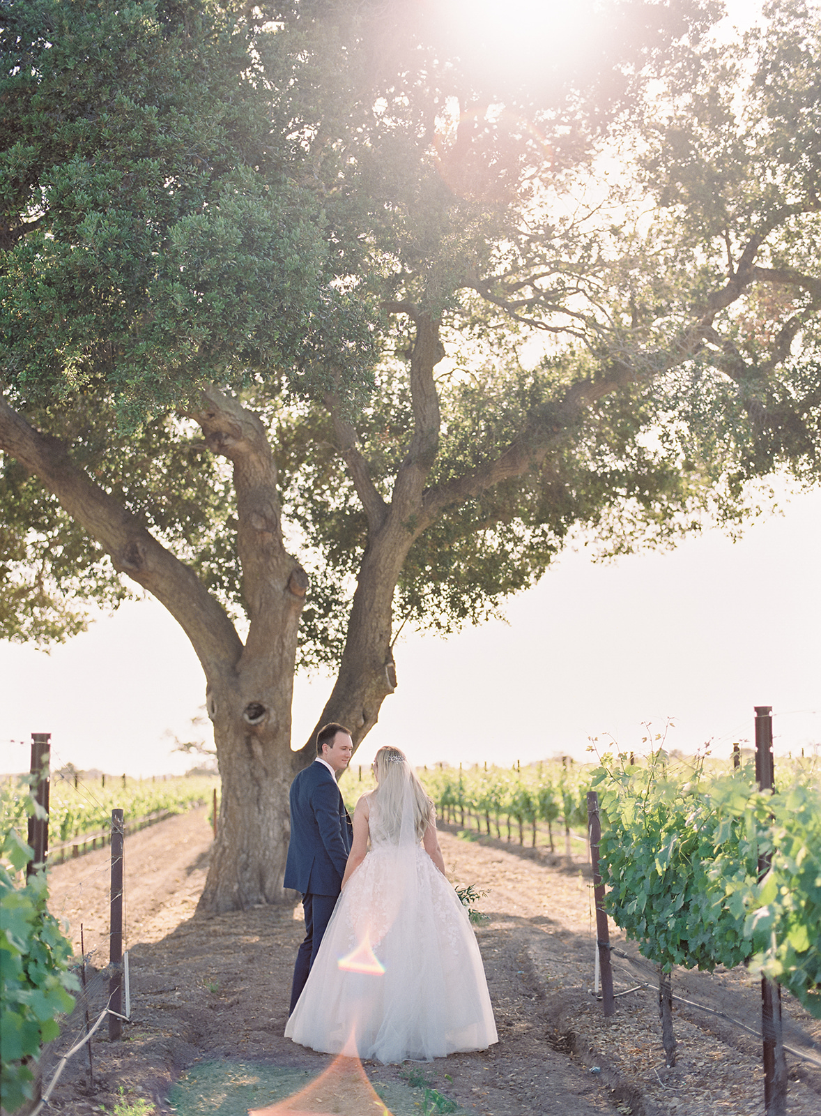 Santa Barbara Wedding Photography - Fess Parker Wine Country Inn Wedding